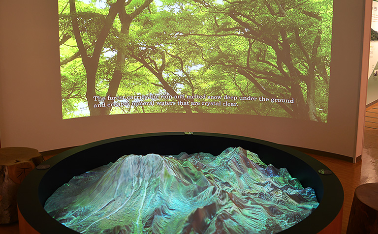 大山自然歴史館 内観