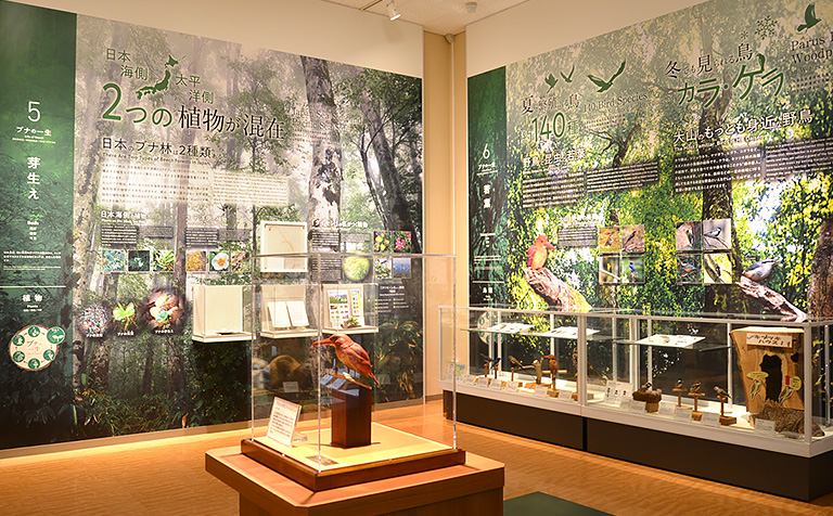 大山自然歴史館 内観